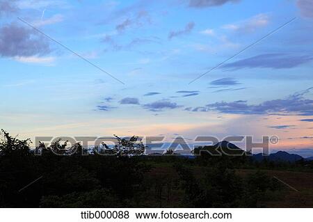 Stock Photo - Trees silhouette at sunset. Fotosearch