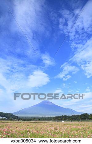 Picture - View of Mount Fuji, Japan. Fotosearch