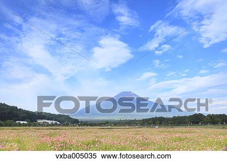View of Mount Fuji, Japan View Large Photo Image Stock Photography - View of Mount Fuji, Japan. Fotosearch