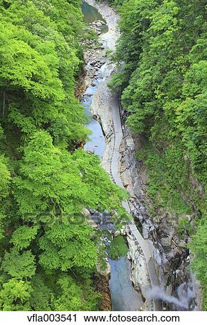 Water stream View Large Photo Image Stock Image - Water stream. Fotosearch