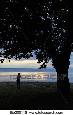 Stock Photo - Woman silhouette by a lake. Fotosearch