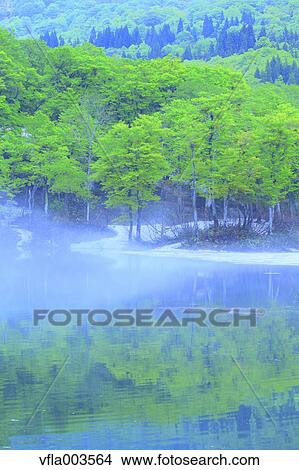 Yamagata Prefecture, Japan View Large Photo Image Picture - Yamagata Prefecture, Japan. Fotosearch