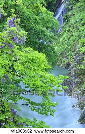 Stock Image - Yamagata Prefecture, Japan. Fotosearch