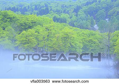 Stock Image - Yamagata Prefecture, Japan. Fotosearch