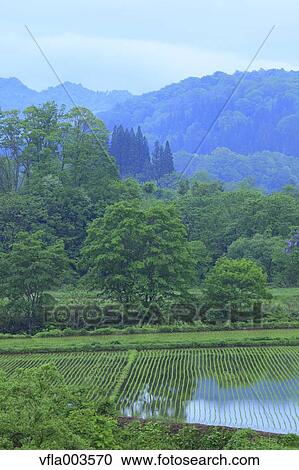 Yamagata Prefecture, Japan View Large Photo Image Stock Image - Yamagata Prefecture, Japan. Fotosearch