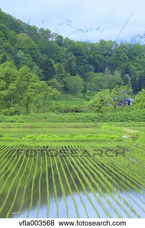 Yamagata Prefecture, Japan View Large Photo Image Stock Photo - Yamagata Prefecture, Japan. Fotosearch