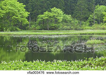 Yamagata Prefecture, Japan View Large Photo Image Stock Photograph - Yamagata Prefecture, Japan. Fotosearch