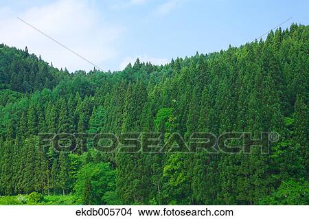 Akita Prefecture, Japan View Large Photo Image Picture - Akita Prefecture, Japan. Fotosearch