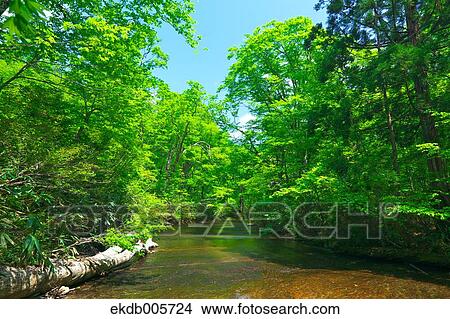 Akita Prefecture, Japan View Large Photo Image Picture - Akita Prefecture, Japan. Fotosearch