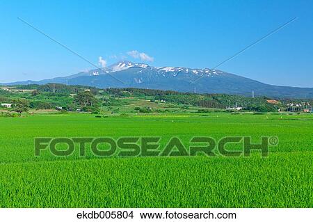 Akita Prefecture, Japan View Large Photo Image Picture - Akita Prefecture, Japan. Fotosearch