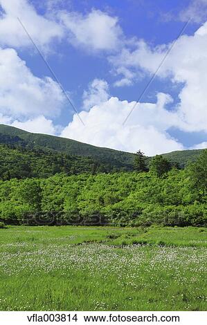 Akita Prefecture, Japan View Large Photo Image Picture - Akita Prefecture, Japan. Fotosearch
