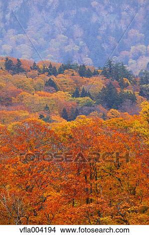 Picture - Akita Prefecture, Japan. Fotosearch