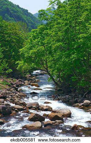 Akita Prefecture, Japan View Large Photo Image Stock Image - Akita Prefecture, Japan. Fotosearch