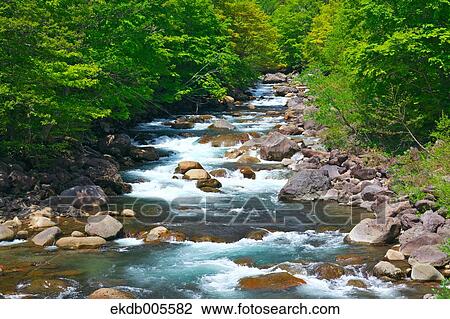 Akita Prefecture, Japan View Large Photo Image Stock Image - Akita Prefecture, Japan. Fotosearch