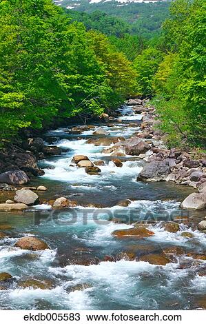 Akita Prefecture, Japan View Large Photo Image Stock Image - Akita Prefecture, Japan. Fotosearch