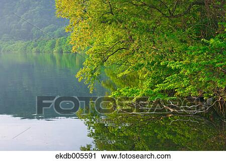 Akita Prefecture, Japan View Large Photo Image Stock Image - Akita Prefecture, Japan. Fotosearch