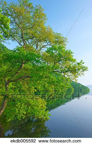 Akita Prefecture, Japan View Large Photo Image Stock Image - Akita Prefecture, Japan. Fotosearch