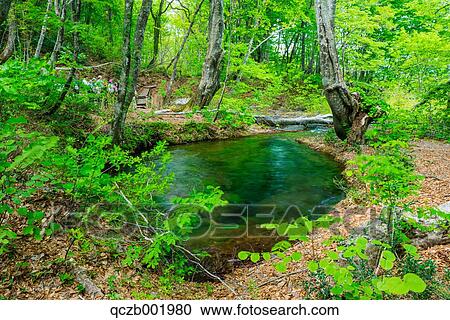 Akita Prefecture, Japan View Large Photo Image Stock Image - Akita Prefecture, Japan. Fotosearch