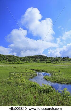 Akita Prefecture, Japan View Large Photo Image Stock Image - Akita Prefecture, Japan. Fotosearch