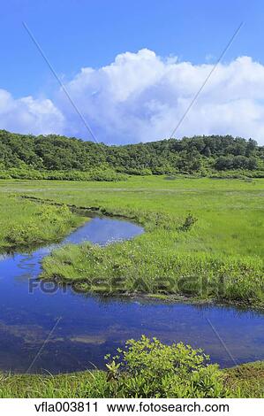 Stock Image - Akita Prefecture, Japan. Fotosearch