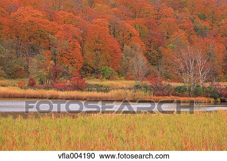Akita Prefecture, Japan View Large Photo Image Stock Image - Akita Prefecture, Japan. Fotosearch