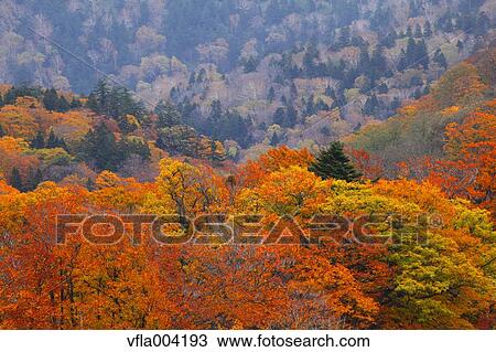 Akita Prefecture, Japan View Large Photo Image Stock Image - Akita Prefecture, Japan. Fotosearch