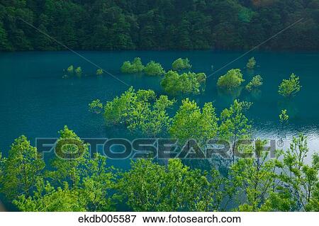 Akita Prefecture, Japan View Large Photo Image Stock Photo - Akita Prefecture, Japan. Fotosearch