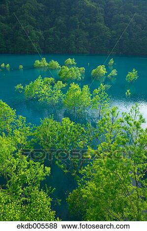 Akita Prefecture, Japan View Large Photo Image Stock Photo - Akita Prefecture, Japan. Fotosearch