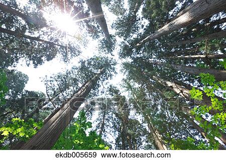 Akita Prefecture, Japan View Large Photo Image Stock Photo - Akita Prefecture, Japan. Fotosearch