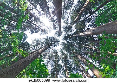 Stock Photo - Akita Prefecture, Japan. Fotosearch