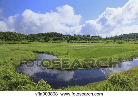Akita Prefecture, Japan View Large Photo Image Stock Photo - Akita Prefecture, Japan. Fotosearch