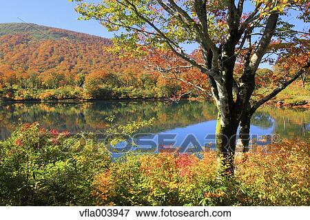 Akita Prefecture, Japan View Large Photo Image Stock Photo - Akita Prefecture, Japan. Fotosearch