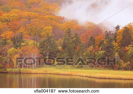 Akita Prefecture, Japan View Large Photo Image Stock Photo - Akita Prefecture, Japan. Fotosearch