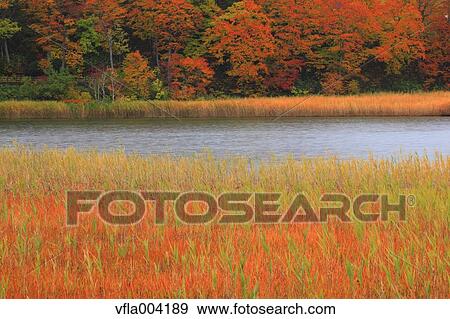 Stock Photo - Akita Prefecture, Japan. Fotosearch