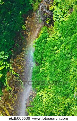 Akita Prefecture, Japan View Large Photo Image Stock Photograph - Akita Prefecture, Japan. Fotosearch