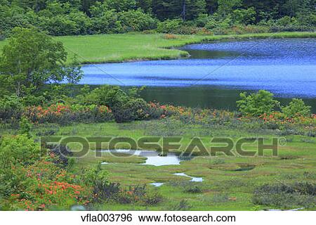 Akita Prefecture, Japan View Large Photo Image Stock Photograph - Akita Prefecture, Japan. Fotosearch