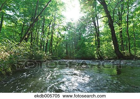 Akita Prefecture, Japan View Large Photo Image Stock Photography - Akita Prefecture, Japan. Fotosearch
