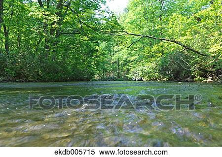 Akita Prefecture, Japan View Large Photo Image Stock Photography - Akita Prefecture, Japan. Fotosearch