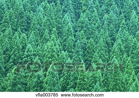 Akita Prefecture, Japan View Large Photo Image Stock Photography - Akita Prefecture, Japan. Fotosearch