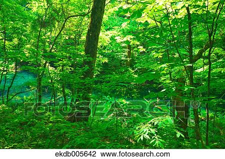 Aomori Prefecture, Japan View Large Photo Image Stock Image - Aomori Prefecture, Japan. Fotosearch
