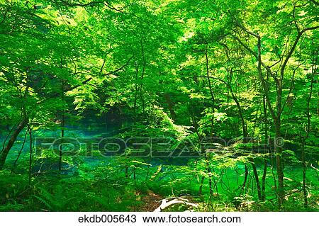 Aomori Prefecture, Japan View Large Photo Image Stock Image - Aomori Prefecture, Japan. Fotosearch