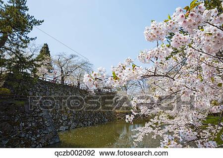 Aomori Prefecture, Japan View Large Photo Image Stock Image - Aomori Prefecture, Japan. Fotosearch