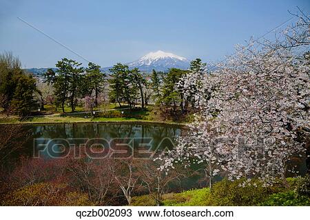 Aomori Prefecture, Japan View Large Photo Image Stock Image - Aomori Prefecture, Japan. Fotosearch