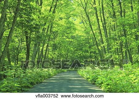 Aomori Prefecture, Japan View Large Photo Image Stock Image - Aomori Prefecture, Japan. Fotosearch