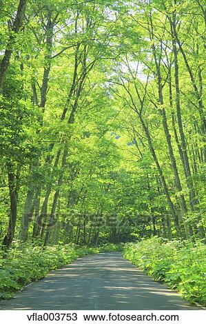 Aomori Prefecture, Japan View Large Photo Image Stock Image - Aomori Prefecture, Japan. Fotosearch
