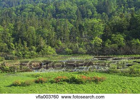 Aomori Prefecture, Japan View Large Photo Image Stock Image - Aomori Prefecture, Japan. Fotosearch