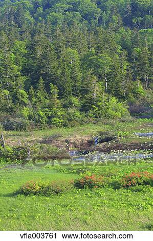 Aomori Prefecture, Japan View Large Photo Image Stock Image - Aomori Prefecture, Japan. Fotosearch