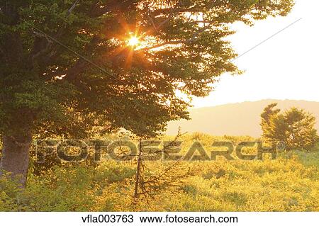 Aomori Prefecture, Japan View Large Photo Image Stock Image - Aomori Prefecture, Japan. Fotosearch