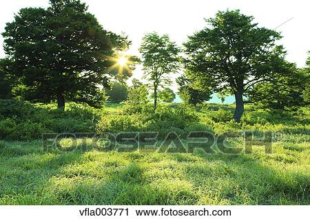 Aomori Prefecture, Japan View Large Photo Image Stock Image - Aomori Prefecture, Japan. Fotosearch