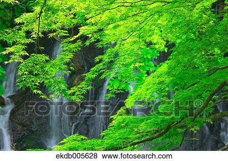 Aomori Prefecture, Japan View Large Photo Image Stock Photo - Aomori Prefecture, Japan. Fotosearch